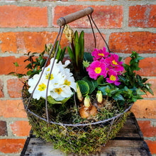 Summer Planter,